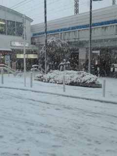 20130114snow.jpg